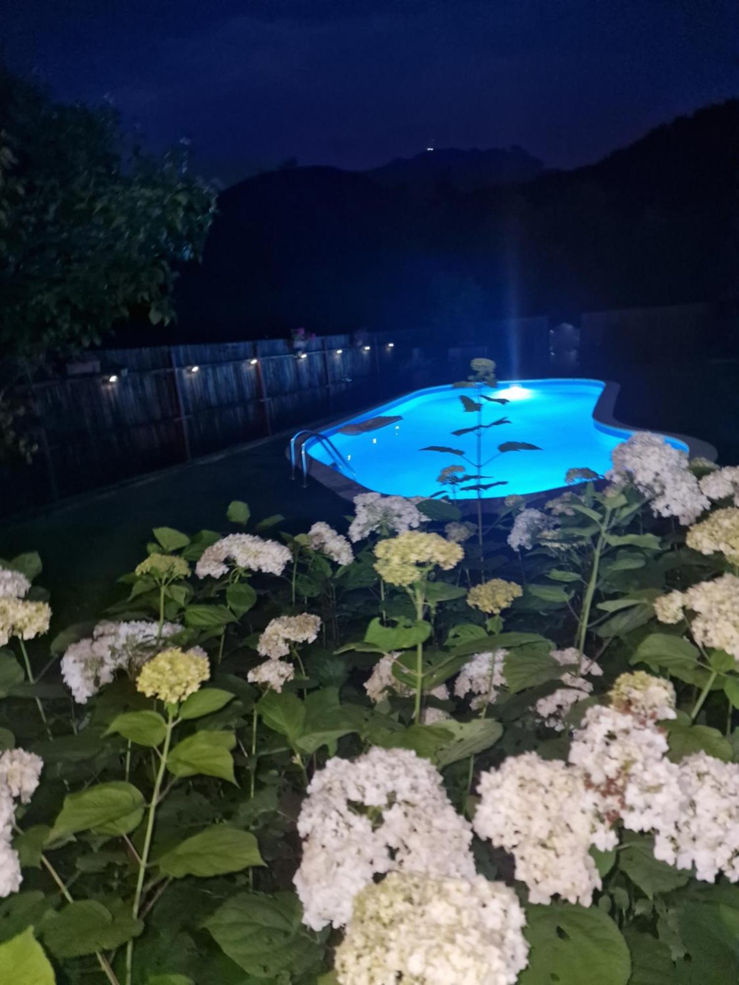 Casa De Vacanta Caciulata Bilik gambar